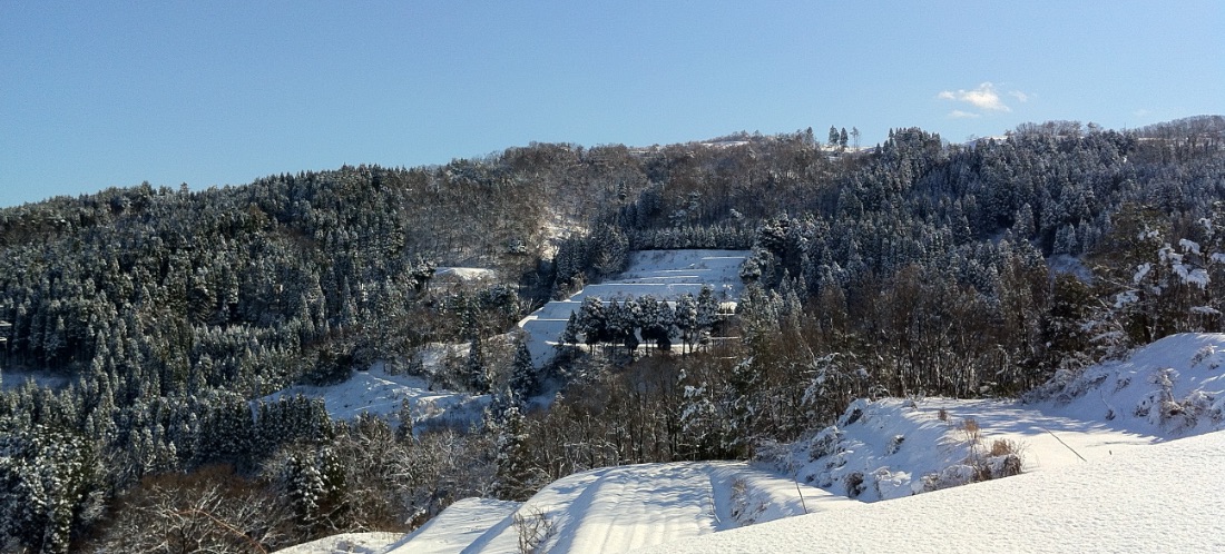 在来種の蕎麦と生産地・生産者のこだわり